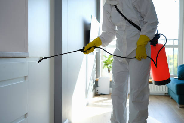 Best Commercial Mold Removal  in Greene, RI