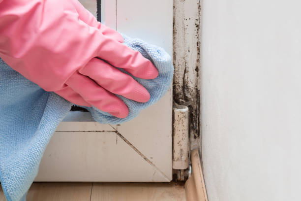 Best Water Damage Restoration  in Greene, RI