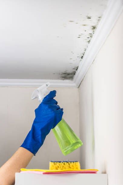 Crawl Space Mold Removal in Greene, RI